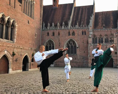 taijiquan,baguazhang,bruges fighters,capoeira,dervishes,artistic gymnastics,traditional sport,folk-dance,baton twirling,qi gong,ball (rhythmic gymnastics),equal-arm balance,street performance,color guard (flag spinning),zamek malbork,dancers,buchardkai,rhythmic gymnastics,the pied piper of hamelin,dance performance,Illustration,Retro,Retro 04