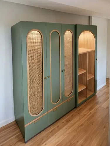 
Use sage green color  , Cane, white , inner lighting ,mudroom,walk-in closet,bookcases,hinged doors,storage cabinet,bookcase,wardrobes,shoe cabinet,bookshelves,sideboards,cupboards,display case,cabin