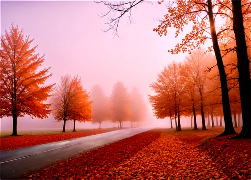 autumn background,autumn scenery,autumn fog,autumn landscape,autumn morning,late autumn,autumn day,autumn walk,fall landscape,autumn forest,autumn,autumn trees,one autumn afternoon,just autumn,autumn idyll,the autumn,autumn season,autumn frame,autumn leaves,autumn theme,Illustration,Retro,Retro 18