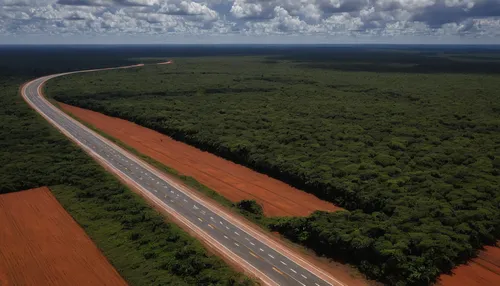 Highway BR-163 stretches between the Tapajos National Forest (L) and a soy field in Belterra, Brazil, Nov. 25, 2019. (AP Photo),paraguayian guarani,northeast brazil,mato grosso,maranhao,herman nationa