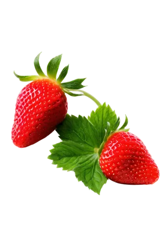 strawberry,red strawberry,strawberries,fragaria,strawberry ripe,strawberry plant,strawbs,watermelon background,strawberry flower,red berry,fraise,berry fruit,rasberry,salad of strawberries,berries,strawberries falcon,brimelow,greed,strawberry tree,red and green,Unique,3D,Toy