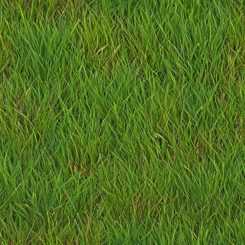 block of grass,zoysia,grass,gras,green wallpaper,cordgrass,grass grasses,green grass,grassman,golf course grass,grassy,grass blades,grasslike,green lawn,lawn,frog background,long grass,blooming grass,blades of grass,paspalum,Illustration,Abstract Fantasy,Abstract Fantasy 10