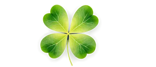 spring leaf background,ginkgo leaf,leaf background,lotus leaf,green leaf,clover leaves,four-leaf clover,five-leaf clover,4-leaf clover,nasturtium leaves,three leaf clover,water lily leaf,four leaf clover,a four leaf clover,tree leaf,green wallpaper,tropical leaf,4 leaf clover,chloroplast,pennywort,Photography,Artistic Photography,Artistic Photography 07