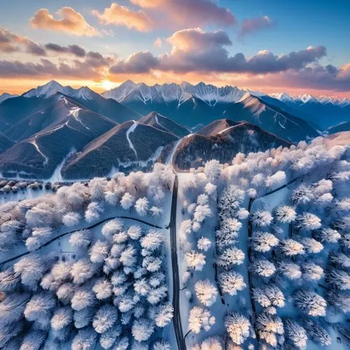 ice landscape,fragrant snow sea,snow landscape,japanese mountains,snow mountains,japanese alps,hoarfrost,snowy mountains,ice flowers,alpine landscape,snowy landscape,winter landscape,mountain sunrise,mountainous landscape,japan landscape,tatra mountains,snow fields,snow mountain,beautiful japan,mountain landscape,Unique,Design,Knolling