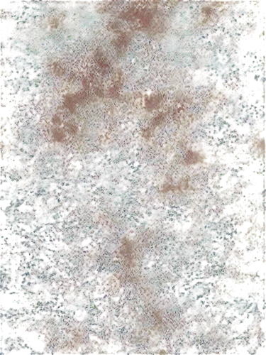 generated,naturalizing,sphagnum,coconut palm infrutescence,ornamental shrub,stereogram,marpat,orpine,stereograms,seamless texture,efflorescence,scrubland,oolite,liquidambar,imperceptibly,bryophyte,verbalizing,forest floor,golf course grass,obfuscated,Conceptual Art,Graffiti Art,Graffiti Art 08