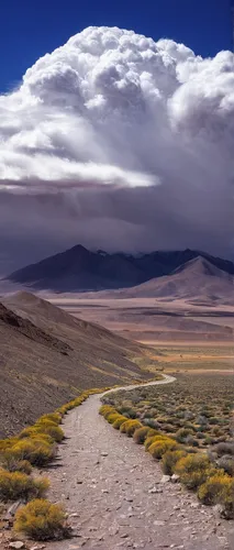 Adventure,  Argentina,  Arid Climate,  Beauty In Nature,  Cloud - Sky,the atacama desert,the gobi desert,gobi desert,atacama desert,the pamir highway,the mongolian and russian border mountains,the mon