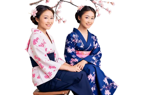 geisha girl,japanese woman,geishas,geisha,yukata,hanfu,japanese floral background,wangmo,kikkawa,maiko,kimono,oriental girl,ninagawa,mieko,soneji,uemura,sumiko,ao dai,ayu,japanese style,Conceptual Art,Daily,Daily 18