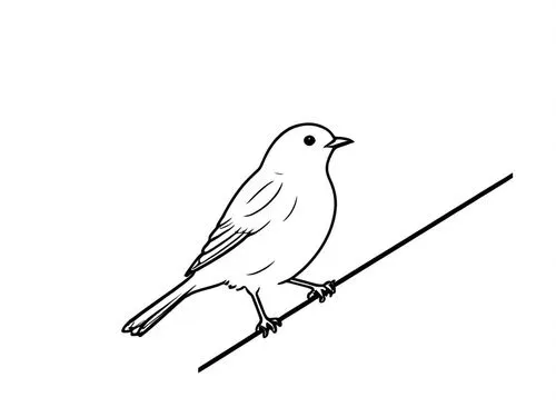 a little bird is perched on a nch,white finch,bird outline,line art birds,bird illustration,bird drawing,luginbill,Design Sketch,Design Sketch,Rough Outline