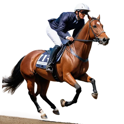 dubawi,rajasinghe,wagiman,desormeaux,frankel,cumani,soumillon,kiberlain,cantering,kauto,trakehner,protectionist,quantock,cavalryman,racehorse,sepoy,masar,ballydoyle,eddery,justify,Art,Classical Oil Painting,Classical Oil Painting 08