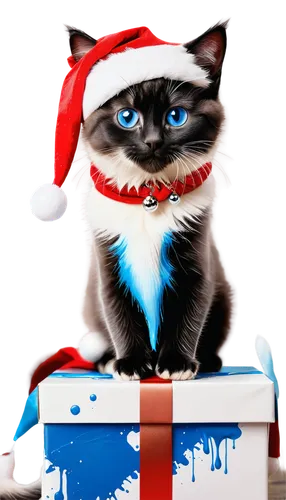 christmas cat,christmas imp,christmas background,christmasbackground,christmas wallpaper,christmas mock up,christmas fox,birman,santa claus hat,cat on a blue background,chrismukkah,santa hat,christmas sled,martinmas,christmas messenger,blue eyes cat,santa claus,santy,santa's hat,jemas,Conceptual Art,Graffiti Art,Graffiti Art 08