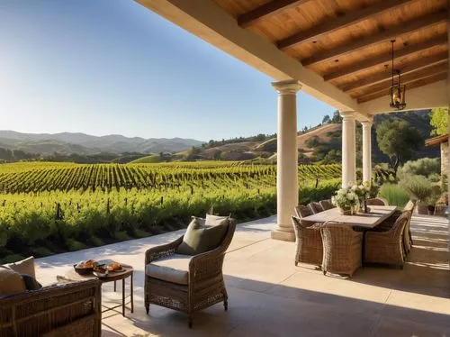 napa valley,yountville,wine country,mayacamas,napa,sonoma,healdsburg,carneros,vineyards,wineland,southern wine route,tuscan,tokara,mondavi,domaine,boisset,wine region,vinyard,wine-growing area,outdoor dining,Conceptual Art,Fantasy,Fantasy 13