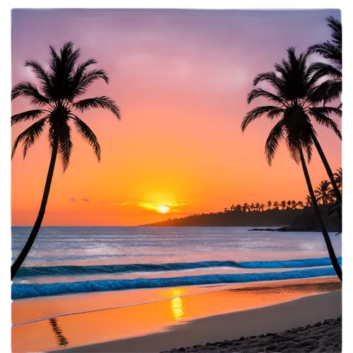 sunrise beach,hawaii,sunset beach,laguna beach,acapulco,palm silhouettes,liberia,coconut palms,easter sunrise,palm tree silhouette,coconut trees,oahu,pacific,honolulu,luau,coast sunset,dream beach,aloha,kauai,coconut palm tree,Illustration,Realistic Fantasy,Realistic Fantasy 27