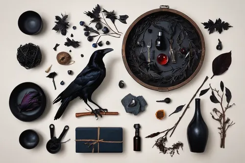 blackbird,murder of crows,corvidae,black crow,ebony trees and persimmons,dark cabinetry,crows,black raven,blackbirds,vanitas,black bird,3d crow,ravens,brewer's blackbird,raven bird,raven's feather,crows bird,black feather,carrion crow,dark cabinets,Unique,Design,Knolling