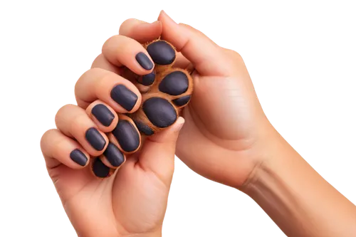 Dog's paw, human's right hand, holding, gentle grip, furry brown paw pads, short nails, soft skin, slender fingers, wedding ring, relaxed posture, warm lighting, shallow depth of field, 3/4 compositio