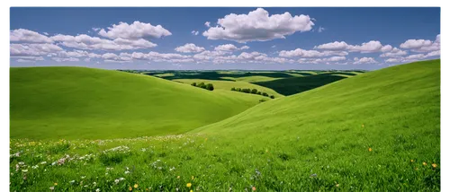 green landscape,grasslands,landscape background,green meadow,meadow landscape,grassland,background view nature,rolling hills,nature background,palouse,green fields,windows wallpaper,green background,aaaa,nature landscape,green meadows,landscape nature,hills,landform,mountain meadow,Photography,Black and white photography,Black and White Photography 06