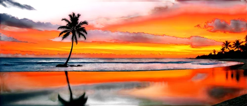 sunset beach,tropical beach,sunrise beach,tropical sea,dream beach,beach landscape,paradises,south pacific,south seas,tropics,tropical house,barotropic,paradise beach,tropicalia,beach scenery,tropical island,caribbean beach,beautiful beaches,coconut trees,beautiful beach,Conceptual Art,Daily,Daily 32