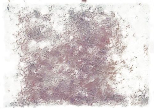 meadow in pastel,crayon background,digital scrapbooking paper,fairy galaxy,generated,mermaid scales background,sackcloth textured background,star abstract,background abstract,purpleabstract,degenerative,background texture,textured background,abstract background,emanation,efflorescence,abstract backgrounds,nebulosity,backgrounds texture,gold-pink earthy colors,Illustration,Japanese style,Japanese Style 07