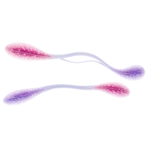 microtubules,notochord,flagella,platyhelminthes,neon arrows,spirochetes,softspikes,spermatogenesis,microfluidic,meiosis,microfilaments,spermatozoa,glowsticks,photoreceptors,spermatogonia,ultracapacitors,microtubule,tubules,kirlian,chromosomes,Illustration,Abstract Fantasy,Abstract Fantasy 19
