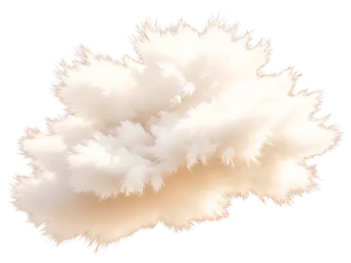 cloud mushroom,cloud shape frame,soft coral,dust cloud,ostrich feather,cloud shape,hericium,cloud image,cloud of smoke,cumulus nimbus,paper clouds,cloud,cloud roller,cloud mountain,partly cloudy,fluff,swelling cloud,smoke plume,silkie,cloud bank,Illustration,Paper based,Paper Based 06