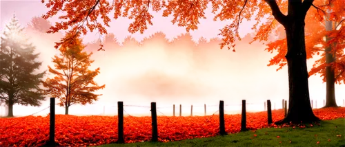 autumn background,autumn fog,autumn scenery,autumn frame,autumn landscape,autumn forest,autumn morning,landscape background,autumn idyll,foggy landscape,autumn day,autumn trees,fall landscape,autumn,one autumn afternoon,the autumn,just autumn,nature background,late autumn,chinar,Art,Artistic Painting,Artistic Painting 34