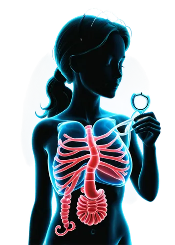 medical illustration,medical concept poster,creatinine,scoliosis,cardiopulmonary,tuberculosis,radiographer,cancer illustration,gastrostomy,pleuropneumonia,pulmonology,pneumoconiosis,emphysema,gastroenterologist,medical symbol,mediastinum,respironics,gastroenterology,mediastinal,gastroenterological,Illustration,Black and White,Black and White 31