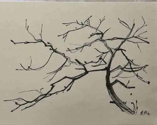 branches,branch,maple branch,tree branch,branch swirl,cherry blossom branch,tree branches,bare branch,sakura branch,tree silhouette,flourishing tree,lilac branch,branch swirls,cherry branch,cherry branches,the branches,branching,magnolia tree,small tree,espalier,Illustration,Paper based,Paper Based 30