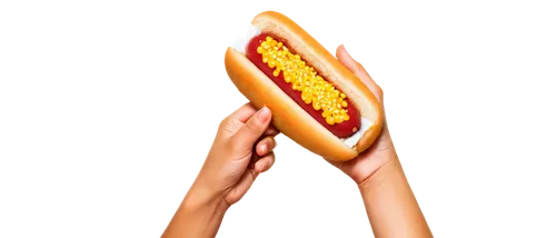 hot dog bun,hotdog,chicago-style hot dog,chili dog,hot dog,submarine sandwich,corn dog,frikandel,coney island hot dog,hot dog stand,burger king premium burgers,big hamburger,burger emoticon,fast-food,sandwich wrap,fastfood,fast food,sandwich,baguettes,wiener melange,Illustration,Japanese style,Japanese Style 17