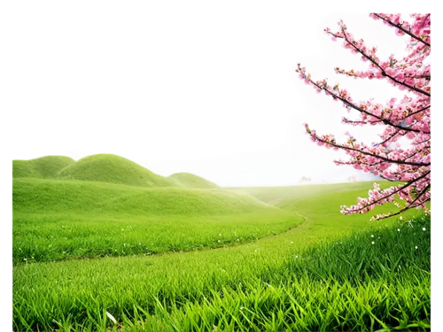 spring background,landscape background,nature background,spring leaf background,springtime background,green landscape,green background,background view nature,green wallpaper,pink green,aaaa,3d background,nature wallpaper,flower background,background vector,easter background,moss landscape,meadow landscape,background colorful,greenness,Illustration,Realistic Fantasy,Realistic Fantasy 10