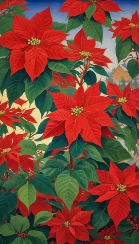 Describe a beautiful poinsettia flower in a festive Christmas setting.,poinsettia,hibiscus and leaves,flower painting,japanese floral background,geraniums,natal lily,christmas flower,chestnut tree wit