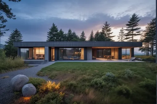 replace text,dunes house,timber house,modern house,mid century house,house in the forest,modern architecture,smart home,smart house,danish house,inverted cottage,summer house,grass roof,house by the w