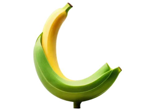 banana,banana peel,saba banana,bananas,monkey banana,banana cue,banana plant,banana tree,nanas,banana apple,dolphin bananas,ripe bananas,sickle,unripe,avacado,svg,growth icon,symbol of good luck,diet icon,banana family,Illustration,Paper based,Paper Based 17