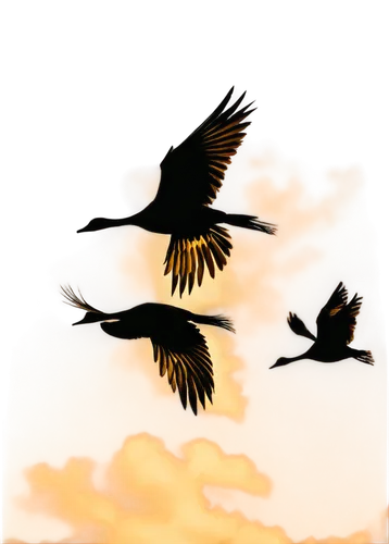 birds in flight,bird flight,birds flying,flying birds,flying geese,corvids,migratory birds,crane bird flying,bird flying,geese flying,migrating,storks,bird in flight,bird in the sky,wild geese,white storks,cygnes,birds gold,grackles,birds,Art,Artistic Painting,Artistic Painting 05