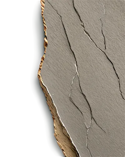 metal embossing,delamination,wall plaster,fossae,structural plaster,geopolymer,abstract gold embossed,nanorods,venus surface,microstructural,bioturbation,microstructures,isolated product image,adhesive electrodes,laminae,particleboard,surfaces,vastola,electroplated,porphyritic,Illustration,Vector,Vector 13