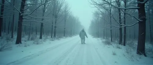 winterreise,winterland,winter background,wintersun,skinwalker,snowblind