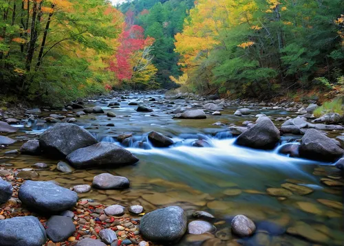 flowing creek,mountain stream,mountain river,fall landscape,great smoky mountains,vermont,raven river,autumn scenery,autumn forest,autumn idyll,colors of autumn,aura river,clear stream,autumn landscape,river landscape,flowing water,fall foliage,upper michigan,streams,rushing water,Illustration,Realistic Fantasy,Realistic Fantasy 41