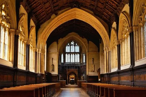 brasenose,michaelhouse,transept,balliol,quadrangle,oxbridge,panelled,hammerbeam,peterhouse,mccosh,bodleian,refectory,honorary court,gasson,hall,wadham,main organ,usyd,charterhouse,oxford,Illustration,Realistic Fantasy,Realistic Fantasy 22