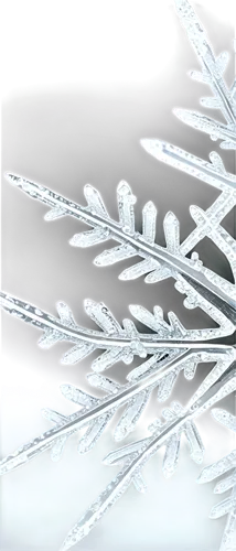 snowflake background,christmas snowflake banner,ice crystal,christmas snowy background,white snowflake,winter background,snow flake,glass ornament,snowflake,icemaker,glass yard ornament,christmasbackground,gold foil snowflake,ice crystals,glass decorations,frosted glass pane,ice rain,snowflakes,ice wall,icicle,Illustration,Vector,Vector 21