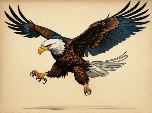 eagle illustration,eagle drawing,eagle vector,eagle,eagles,american bald eagle,bald eagle,sea head eagle,eagle eastern,bald eagles,gray eagle,sea eagle,of prey eagle,eagle head,african eagle,imperial eagle,white eagle,flying hawk,fish eagle,hawk - bird,Illustration,Retro,Retro 19