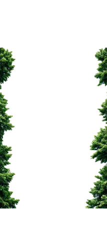 christmas tree pattern,evergreen trees,coniferous,fir tree decorations,fir green,fir trees,coniferous forest,fir tree,christmasbackground,spruce trees,fir forest,fir-tree branches,christmas balls background,evergreens,christmas background,spruce tree,christmas trees,fir needles,fir branches,christmas snowy background,Photography,Artistic Photography,Artistic Photography 12