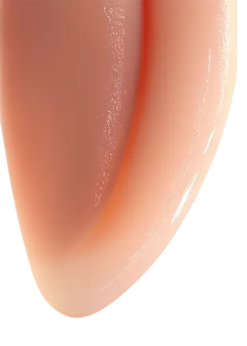 auricle,bisected egg,cosmetic brush,diaphragm,medical illustration,embryo,ear,reflex foot sigmoid,egg shell,deep tissue,corpuscle,lipolaser,semicircular,reflex eye and ear,heloderma,sacral,ear cancers,piece of apple,aorta,laryngoscope,Photography,Artistic Photography,Artistic Photography 02