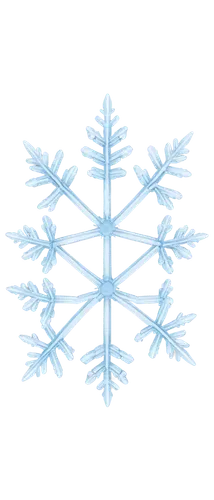 snowflake background,christmas snowflake banner,weather icon,blue snowflake,snow flake,snowflake,ice crystal,white snowflake,snowflakes,wreath vector,icemaker,winter background,snowflake cookies,treemsnow,snow roof,fire flakes,snow drawing,summer snowflake,icicle,ice rain,Photography,Black and white photography,Black and White Photography 10