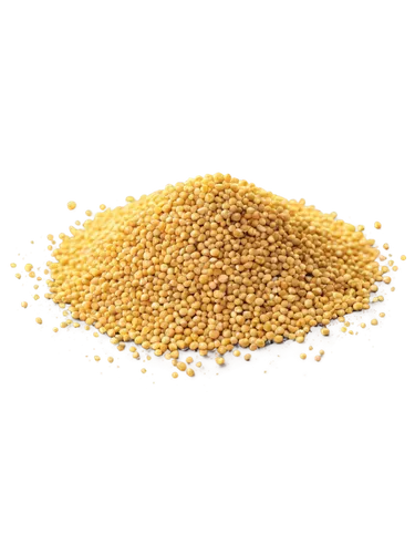 Yellow sorghum grains, scattered on brown soil, close-up, shallow depth of field, natural light, warm color tone, realistic texture.

Millet,fenugreek,triticum durum,lecithin,cereal grain,sorghum,oils