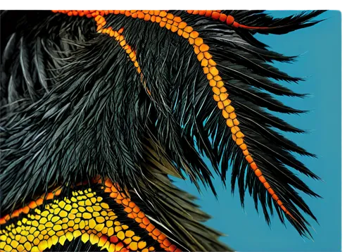 parrot feathers,peacock feathers,beak feathers,eagle illustration,calyptorhynchus banksii,phoenix rooster,cassowary,wattlebird,color feathers,feathers,feathers bird,plumage,detail shot,plumas,peacock,taniwha,ornamental bird,plumes,cassowaries,tui,Illustration,Abstract Fantasy,Abstract Fantasy 08