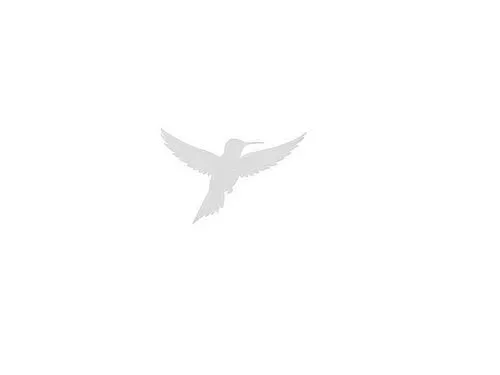 a bird is flying in the sky next to grass,flying tern,eagle silhouette,rahxephon,cygnes,tern,quickbird,Design Sketch,Design Sketch,Rough Outline