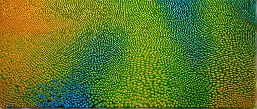 mermaid scales background,gradient blue green paper,aboriginal art,feather coral,colored pencil background,colored crayon,chameleon abstract,abstract painting,pointillism,aboriginal painting,parrot feathers,fruit pattern,color pencil,green mermaid scale,fish scales,rainbow pattern,indigenous painting,abstract multicolor,coral fish,eucalyptus,Photography,Documentary Photography,Documentary Photography 33