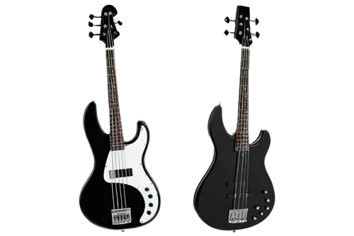 electric bass,lakland,jazz bass,bass guitar,silvertone,schecter,fretless,framus,steinberger,caggiano,peavey,basses,rickenbacker,danelectro,freidrich,bassons,e bass,mosrite,jazzmasters,headstock,Photography,Documentary Photography,Documentary Photography 23