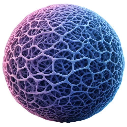 Microscopic view, cellular structure, spherical shape, semi-transparent membrane, nucleus at center, chromatin threads, mitochondria scattered, endoplasmic reticulum network, cytoskeleton fibers, ribo