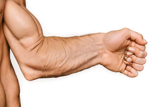 human leg,foot reflex zones,reflex foot kidney,foot reflex,reflex foot sigmoid,muscular system,foot model,muscle angle,equal-arm balance,biomechanically,foreshortening,reflex foot esophagus,foot reflexology,the foot,arm strength,arm,foot,folded hands,leg,toe,Unique,Paper Cuts,Paper Cuts 07