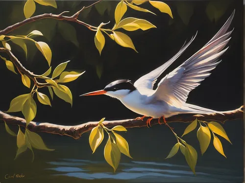 Imagine a serene painting where a river tern elegantly perches on a tree branch, with sunlight reflecting off the flowing water.,river tern,royal tern,fairy tern,tern bird,silver tern,forster s tern,c