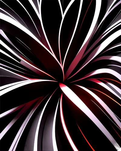 fireworks background,fireworks,firework,fireworks art,spiral background,plasma ball,fireworks rockets,abstract background,apophysis,netburst,pyrotechnics,new year vector,pyrotechnic,particle,airburst,sunburst background,diwali background,background abstract,sparks,light fractal,Photography,Black and white photography,Black and White Photography 08